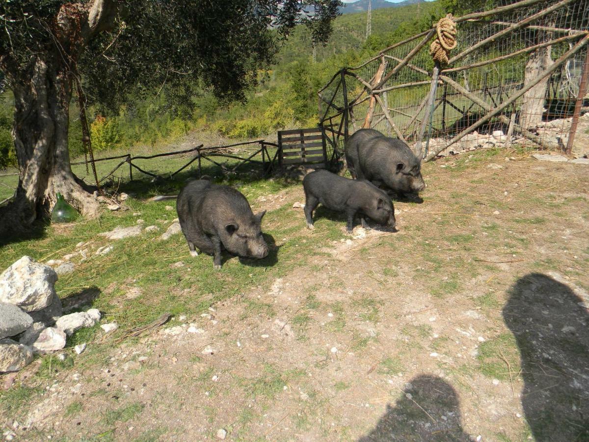 La Masseria Di Antonio E Teresina Country house Colli a Volturno