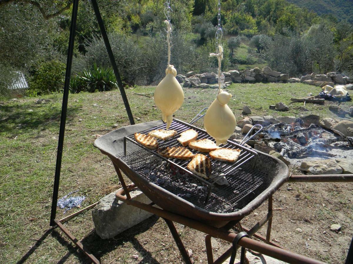 La Masseria Di Antonio E Teresina Colli a Volturno