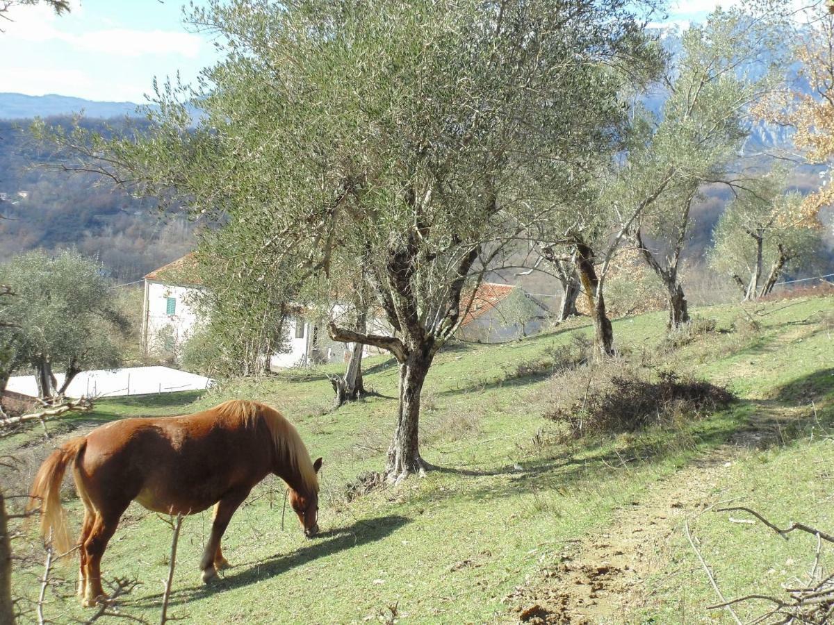 La Masseria Di Antonio E Teresina *