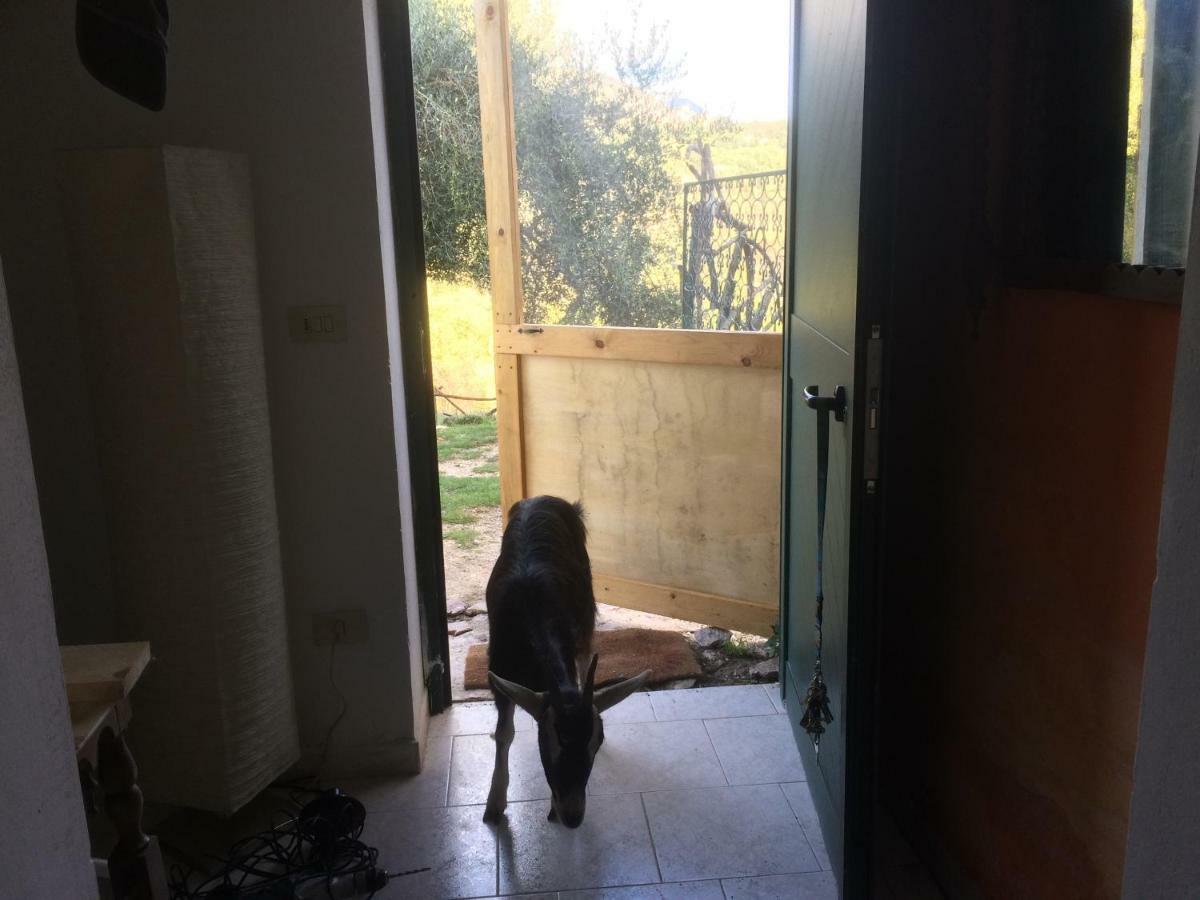 La Masseria Di Antonio E Teresina *