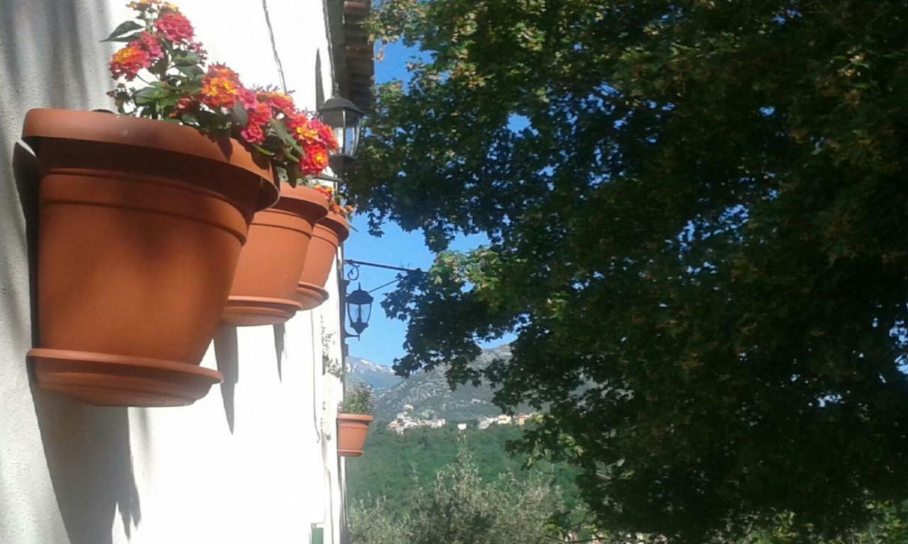 La Masseria Di Antonio E Teresina Country house *