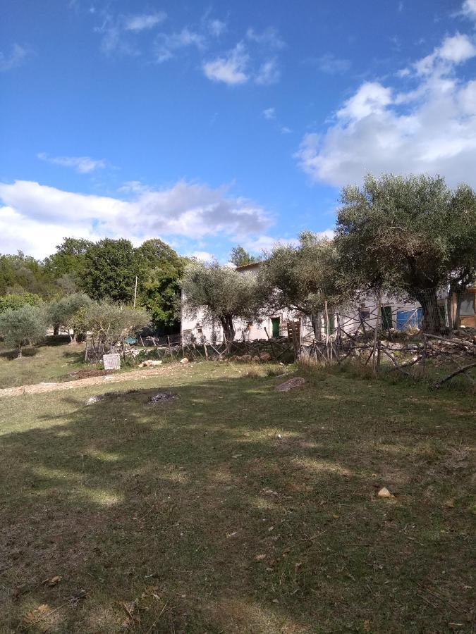 La Masseria Di Antonio E Teresina * Colli a Volturno