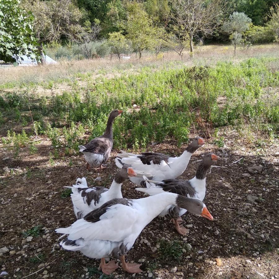 Country house La Masseria Di Antonio E Teresina