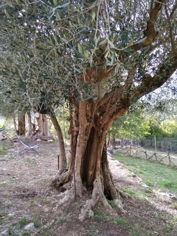 Country house La Masseria Di Antonio E Teresina *